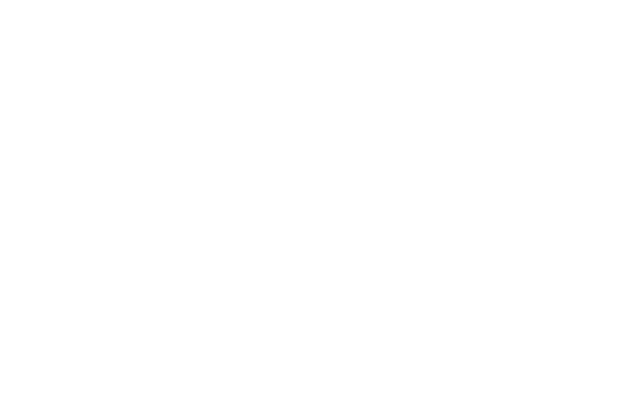 STG Consult